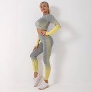 Seamless Ombre Long Sleeve Yoga Set