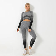 Seamless Ombre Long Sleeve Yoga Set