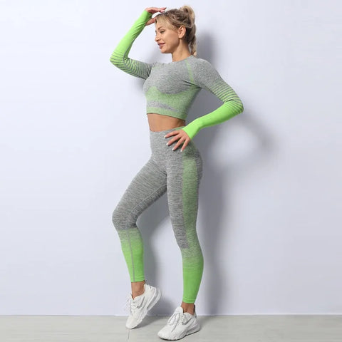 Seamless Ombre Long Sleeve Yoga Set